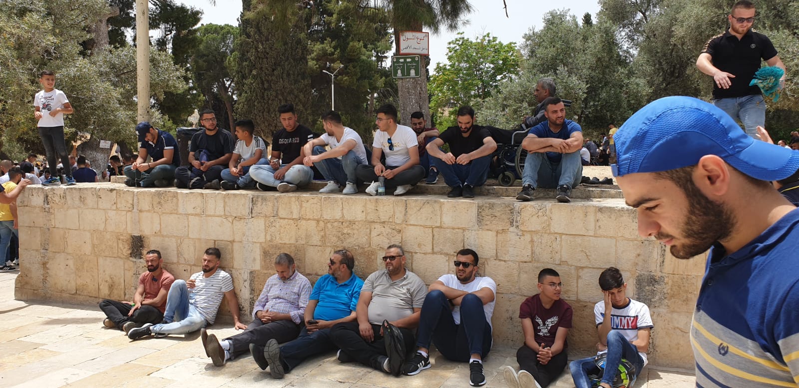 WhatsApp Image 2021-05-21 at 3.13.50 PM.jpeg